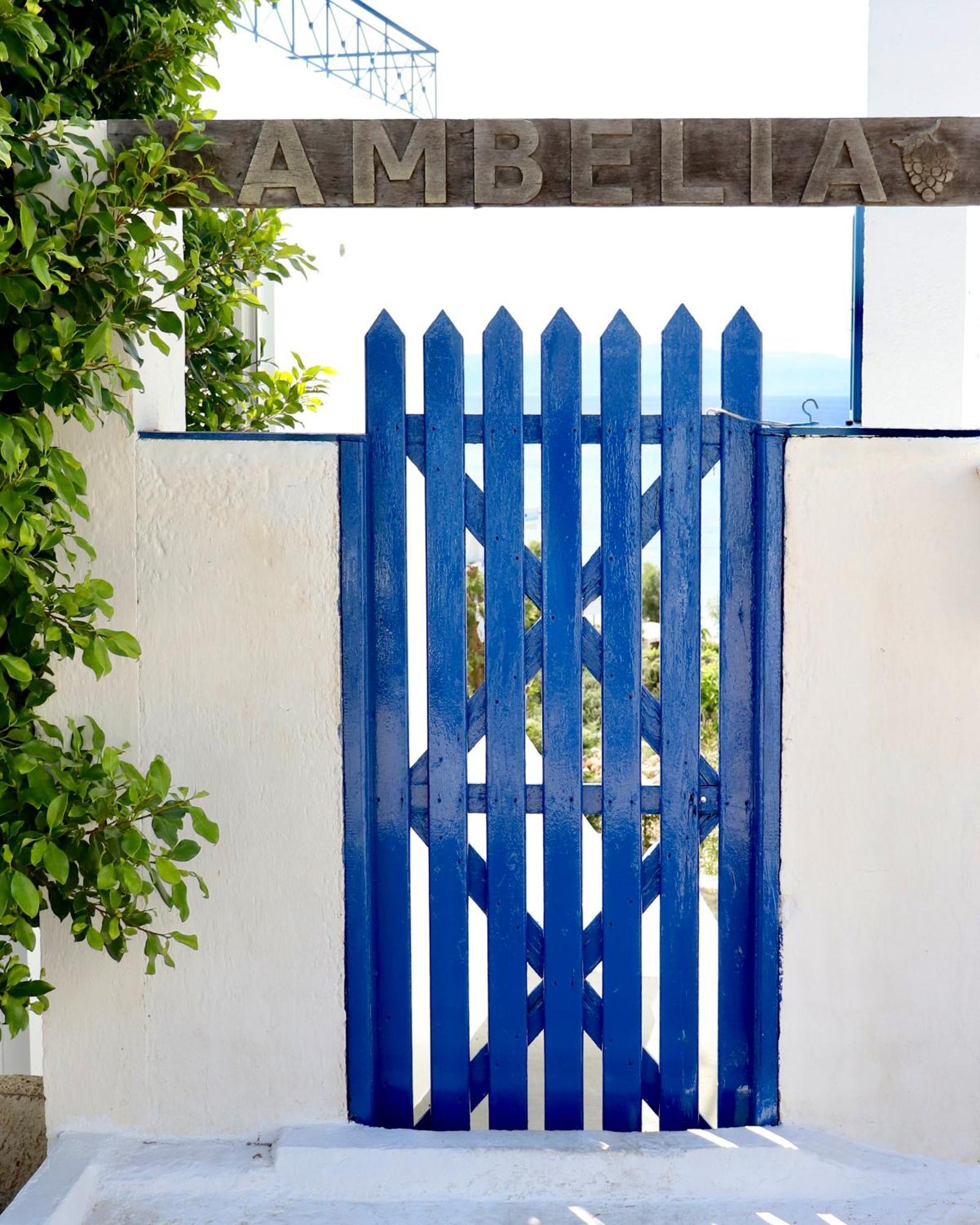 4 Ambelia Paradise Megalochori  Extérieur photo